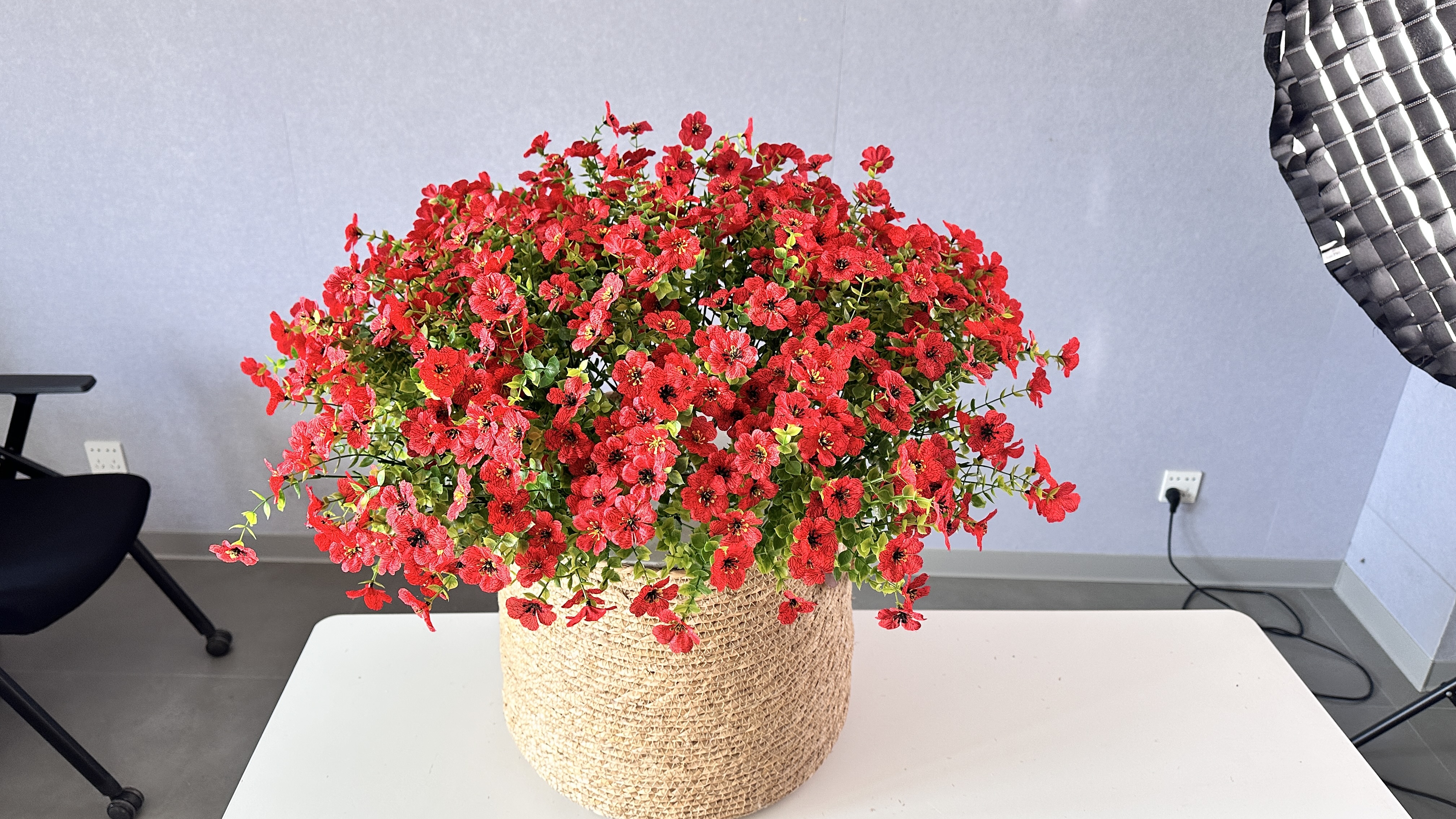 Elowra Red Velvet Long Stem Roses
